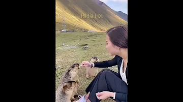 Какие милые суслики😍😻😽 подпишись и отправь друзьям 👍