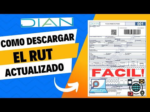 👉Cómo descargar el