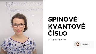 Spinové kvantové číslo