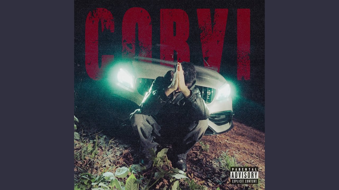 Corvi