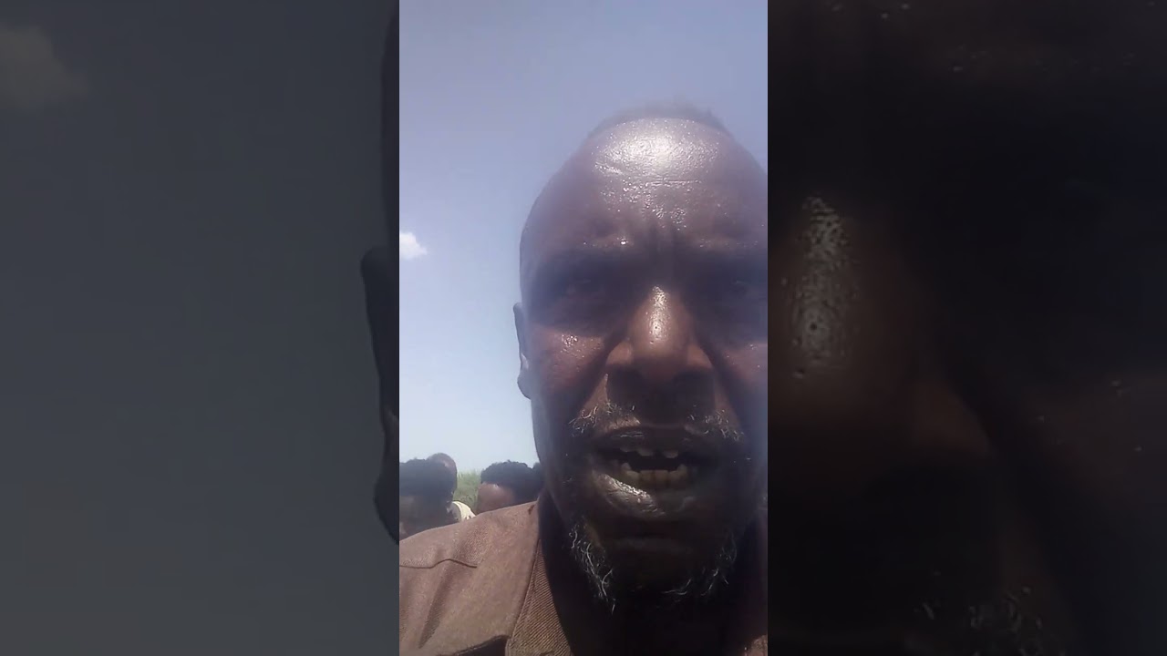 abwaan minmari ogabeygii wilwile argos kaciyaarey 27 05 2024