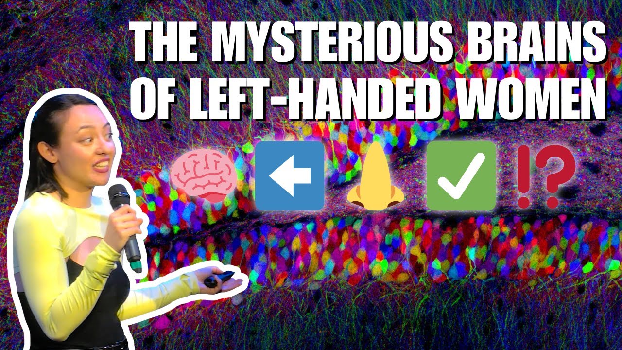 The Mysterious Brains of Left-Handed Women (Dr. Leslie Sibener, PhD)