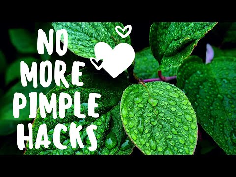 Pimples on Your Face ???? One Minute...Let' Do This DIY!!!!! + My Garden Tour... remove face pimples naturally