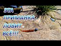 РАБОЧАЯ приманка для МИКРОДЖИГА!!! Ловит ВСЁ и ВЕЗДЕ!!!