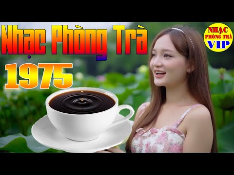 | Hòa Tấu Guitar Không Lời | Nhạc Guitar Phòng Trà | Nhạc Buổi Sáng Quán Cà Phê