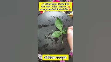 19 सितंबर पितृपक्ष प्रदोष के दिन 1 चावल 1 बेलपत्र 1 लोटा जल 1🪔का अचूक उपाय पितरों के तर्पण के लिए 💯🙏