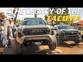 The All New 2024 Toyota Tacoma TRAILHUNTER Walk Around