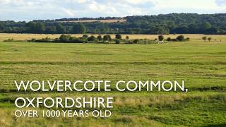 Wolvercote Common In Oxfordshire