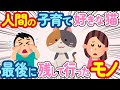 【2ch 感動スレ】生まれてから一緒に子育てしてくれた我が家の猫→家族全員「さみしくなったなぁ」