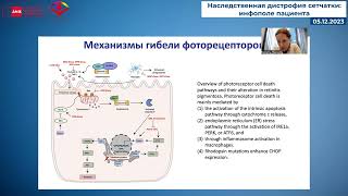 Винер М Е    Лечение заболеваний сетчатки  Малые молекулы