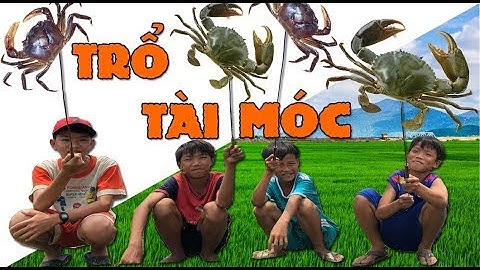 Anh Ba Phải | Cuộc Thi  Móc Cua Ngoài Đồng Hoang  - Crab Catch Contest