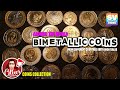 Bimetallic Old Coins Collection From Different Countries