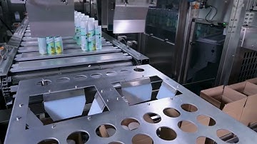 Shrink Wrap and Case Packing Machine for Aerosol Cans
