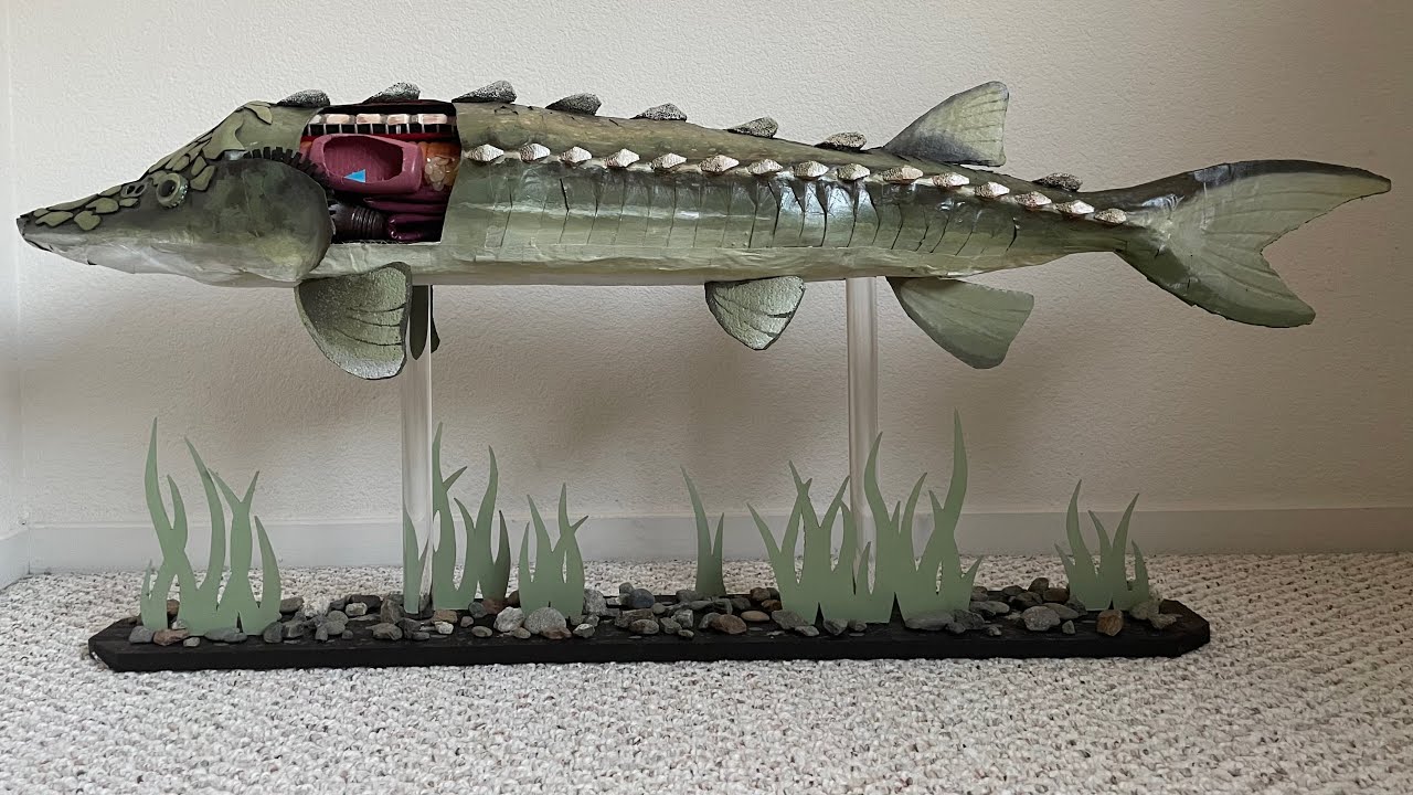 Green Sturgeon: The Delta’s Disappearing Prehistoric Fish