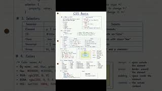 CSS Basics Every Beginner Should Learn