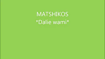 Matshikos