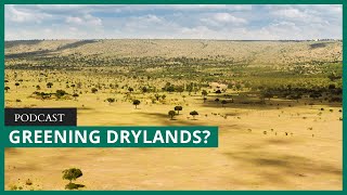 High CO2 levels are greening the world’s drylands and that may be bad news