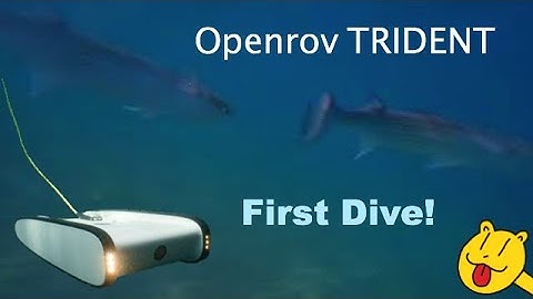 First Dive of the Openrov Trident (Aquatic Drone)