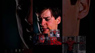 Famous “Don’t let some idiot talk u out of it.” - Stan lee Net Worth