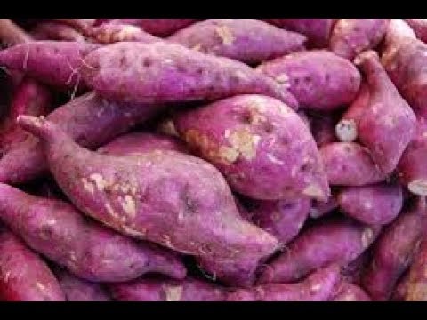 Vídeo: Formas Incomuns De Plantar Batatas