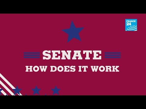 Wideo: Gdzie pracują senatorowie?