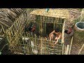 Build chicken bamboo house Build chicken bamboo house