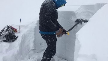 Newly Buried Surface Hoar, Bacon Rind   3 Feb 2019