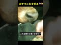 牛の鼻にひそむ生物とは...?😨