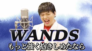 WANDSの『もっと強く抱きしめたなら』をMr.シャチホコが本気で歌ってみた#WANDS#上杉昇#ものまね