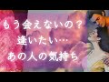 ❤️私たちもう会えないの…?逢いたいあの人の気持ちや本音❤️タロット&オラクルカードリーディング❤️怖いほど当たる❤️