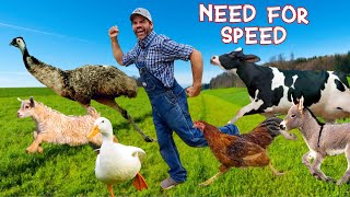 Who's the Fastest Animal on the Farm?  (Educational Farm Video For Kids) by Cog Hill Farm For Kids 110,085 views 7 months ago 20 minutes