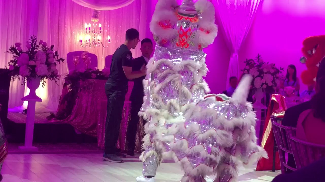 Chinese Vietnamese Wedding dragon dance