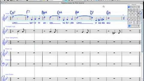 Sibelius using the filter to copy or delete elements
