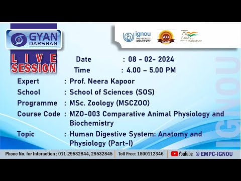 Human Digestive System: Anatomy and Physiology (Part-I)