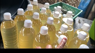 Kita sa isang galon na mantika| murang supplier | small business| konting puhunan