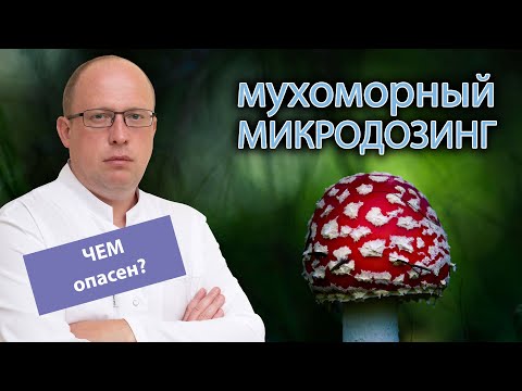 🍄 Мухоморный микродозинг - чем опасен 💀