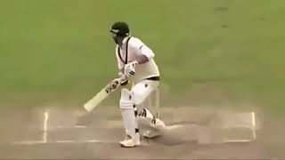 Top 10 Funny Catches in Cricket History Best Video