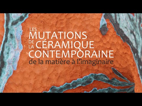 Vidéo: Résidence contemporaine au Brésil d'un puissant impact de conception