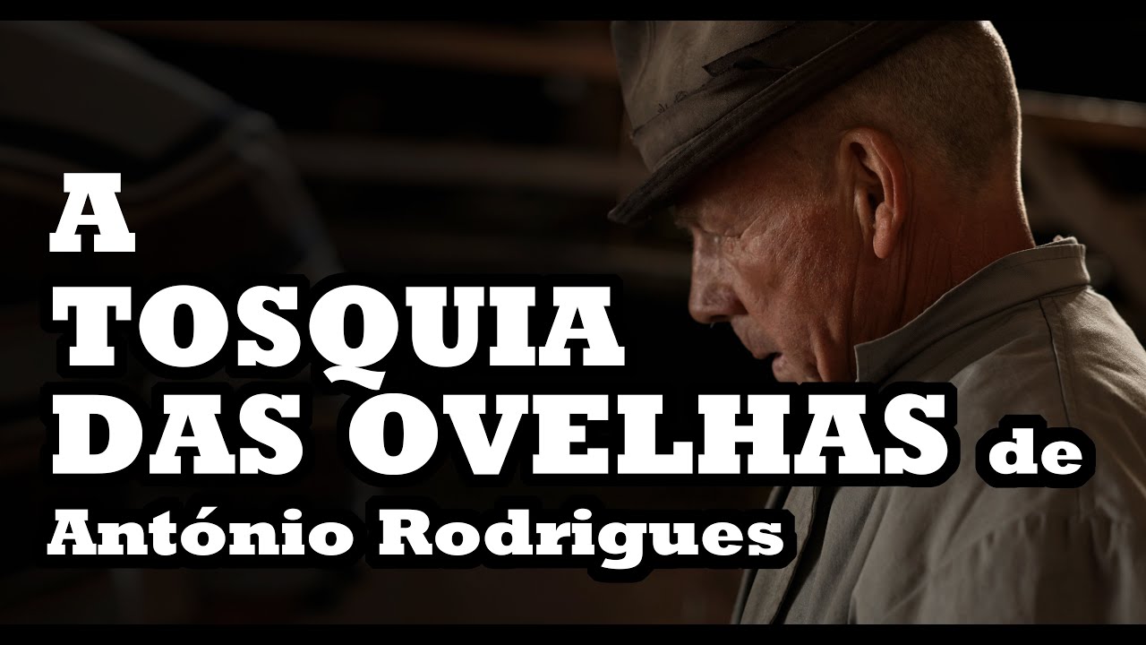 A Tosquia das ovelhas de António Rodrigues