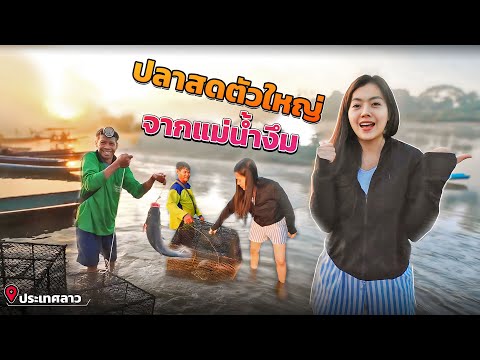 ผลสลากกินแบ่งรัฐบาล วันที่ 1 พย. 2567