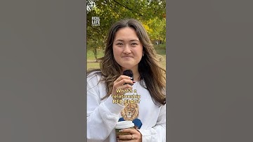 THESE are relationship RED FLAGS you should not ignore.