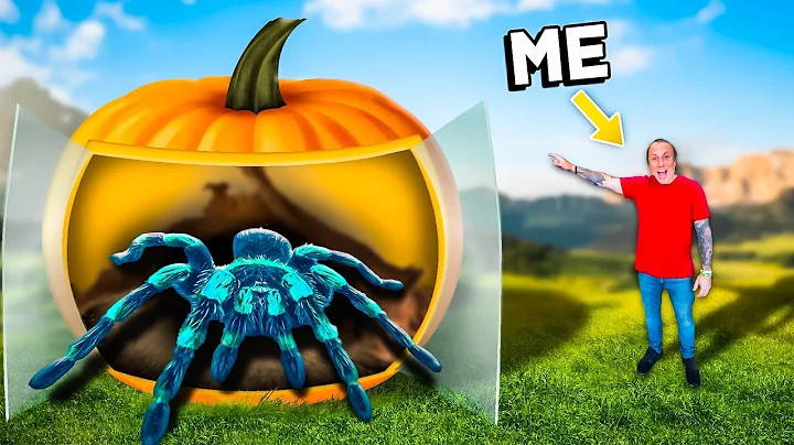 I Turned A 300 Pound Pumpkin Into A Tarantula Cage!