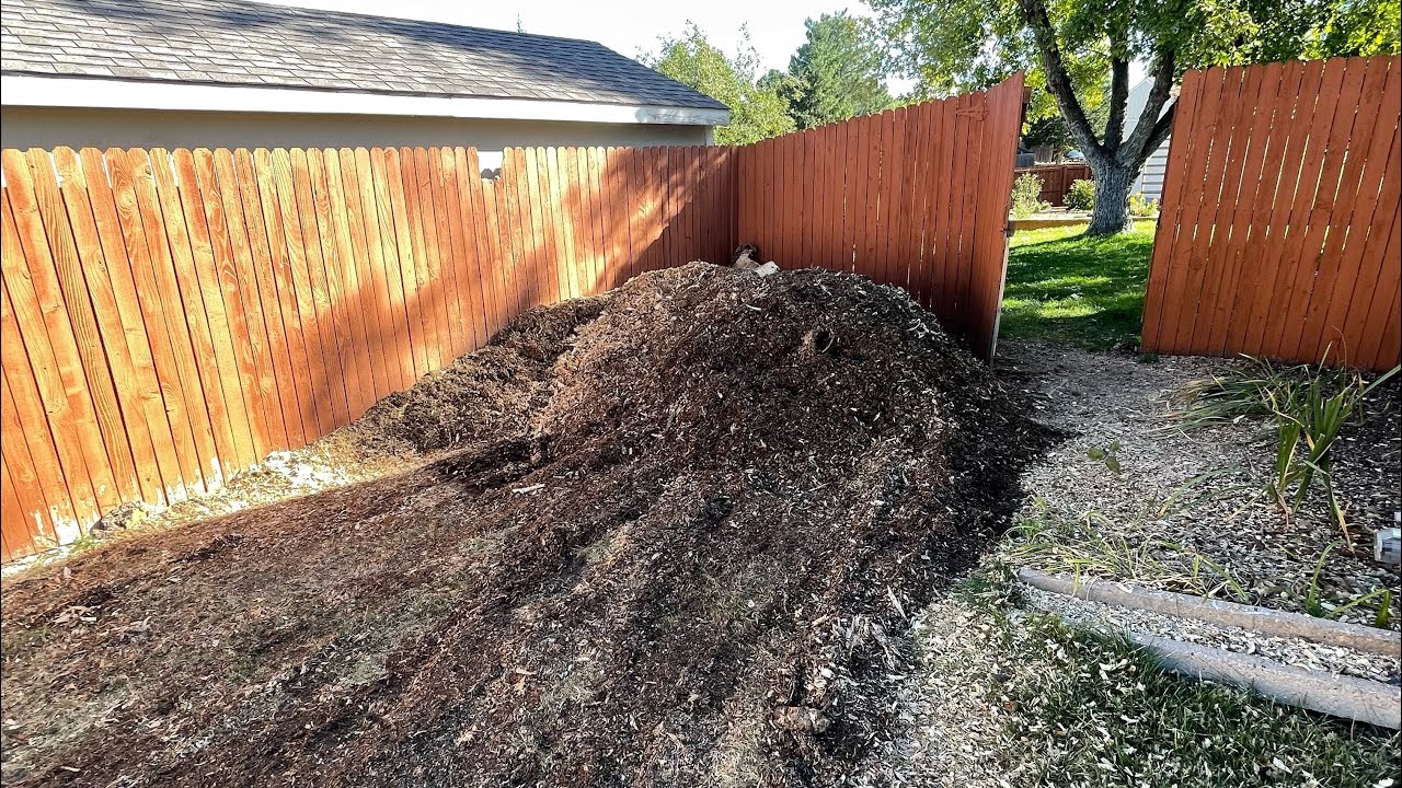 8’ cottonwood stump removal in 40 minutes dang - YouTube