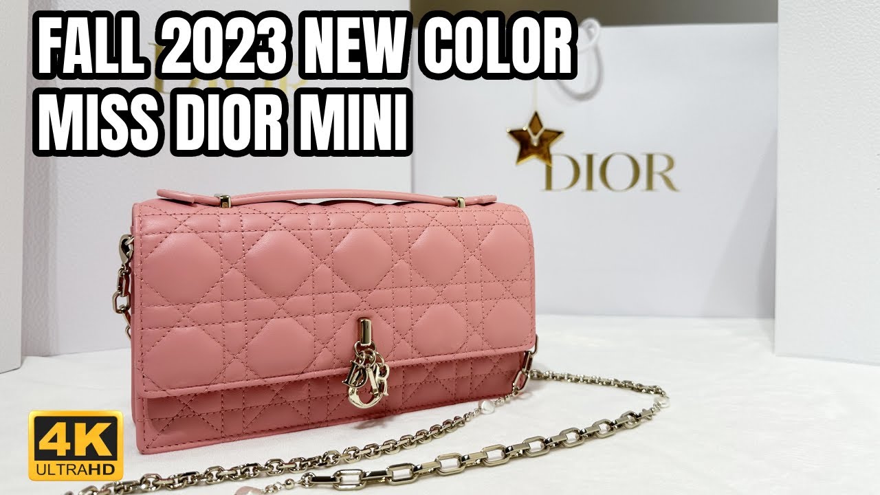 Miss Dior Mini Bag - Kaialux