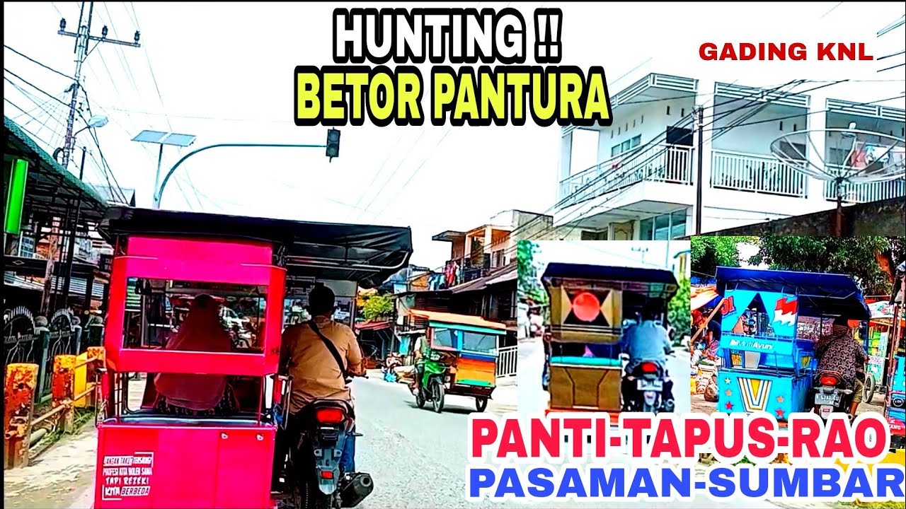 HUNTING BETOR PANTI-TAPUS-RAO PASAMAN SUMBAR @GADING KNL