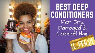 BEST DEEP CONDITIONERS | Dry, Damaged or Color Treated | BILINGUAL