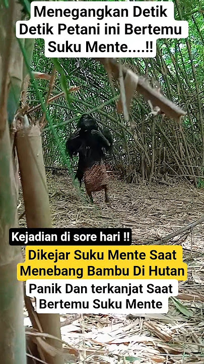 ‼️Apes Saat Menebang Bambu Malah Bertemu Suku Mente ‼️