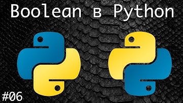 Boolean в Python | Базовый курс. Программирование на Python