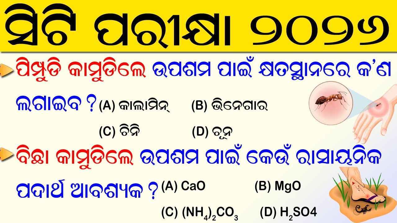 CT Exam Preparation 2026 | CT exam questions and answer | CT Entrance | CT Exam Practice Questions