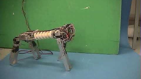 1998 SQ43: A Walking Quadruped Robot with Flexible Spine Structure